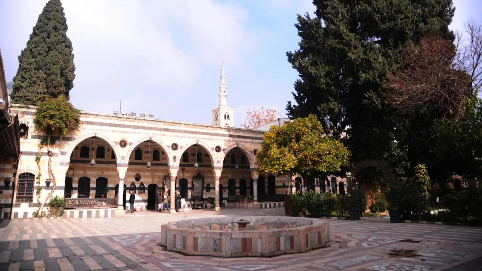قصر العظم في دمشق (5)